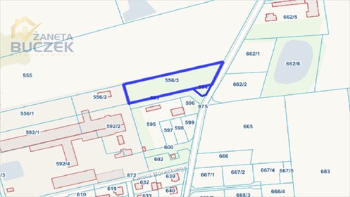 działka na sprzedaż 3576m2 działka Nieborów, Spacerowa