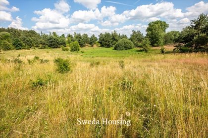Działka budowlana na sprzedaż Borkowo, Starowiejska 1 628m2 Foto 1