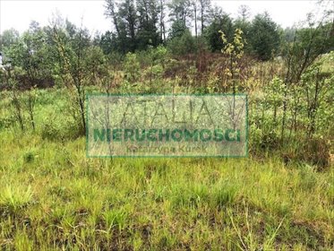 Duża działka 5500 m² pod zabudowę w Skułach działka Skuły