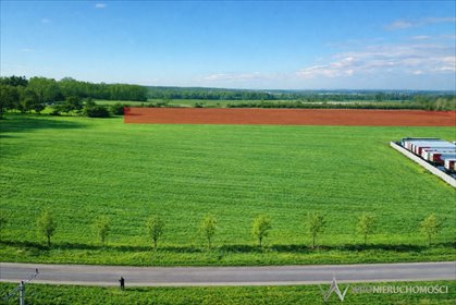 działka na sprzedaż 14900m2 działka Pawłów Trzebnicki