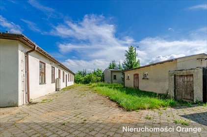 Lokal użytkowy na sprzedaż Koryta 1 081m2 Foto 5