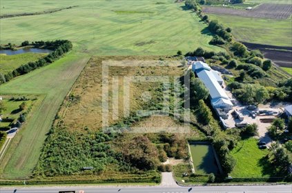 działka na sprzedaż 19418m2 działka Gołębiewko