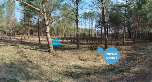 działka na sprzedaż 1000m2 działka Bukowiny