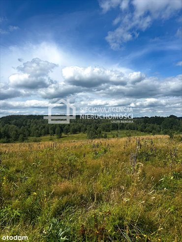 Polecam działkę 2913 m² z dostępem do jeziora i lasów działka Trzepowo