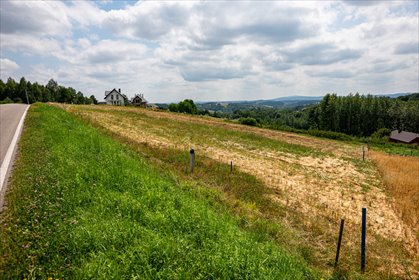 działka na sprzedaż 3000m2 działka Wola Lubecka