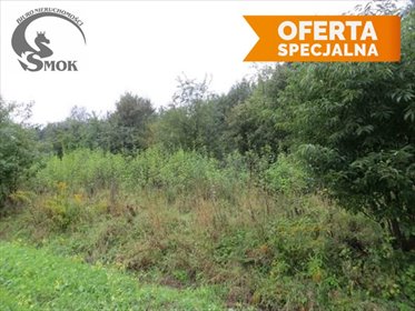 działka na sprzedaż 2300m2 działka Zarzyce Małe