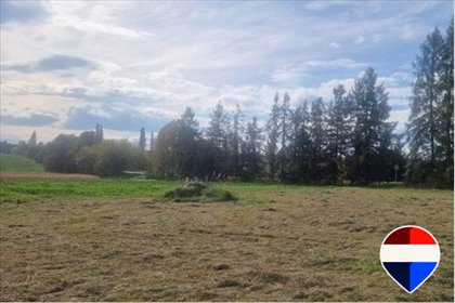 Działka 1000 m² z szerokimi możliwościami zabudowy działka Pruchna, Katowicka