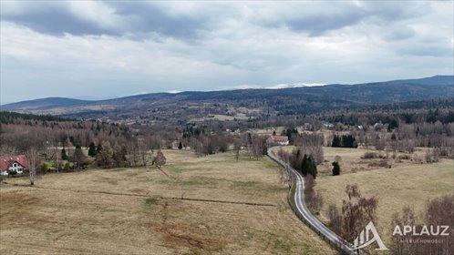 Sprzedam działkę 3000 m² pod zabudowę w Antonowie działka Antoniów