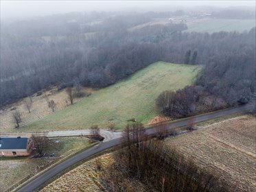 działka na sprzedaż 11100m2 działka Lubenia