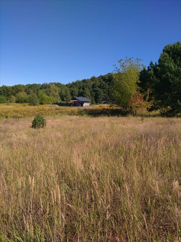 działka na sprzedaż 2001m2 działka Pilchowo