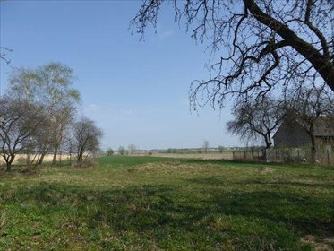 Działka budowlana na sprzedaż Sławno, Sławno 25 309m2 Foto 4
