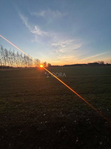 działka na sprzedaż 2000m2 działka Żłobizna