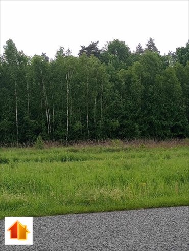 Działka 47 arów pod zabudowę zagrodową w Grodzisku działka Grodzisko Dolne