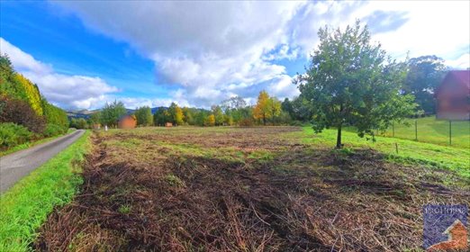 działka na sprzedaż 1000m2 działka Męcina