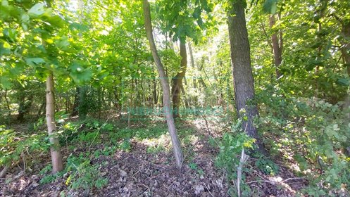 działka na sprzedaż 4951m2 działka Książenice