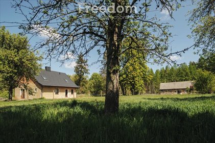 dom na sprzedaż 125m2 dom Ciechocin