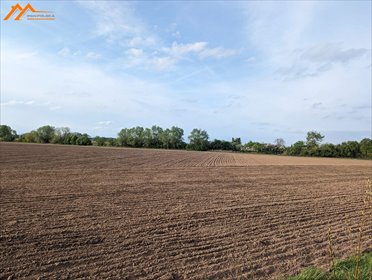 działka na sprzedaż 12000m2 działka Podlesie, Podlesie, Podlesie