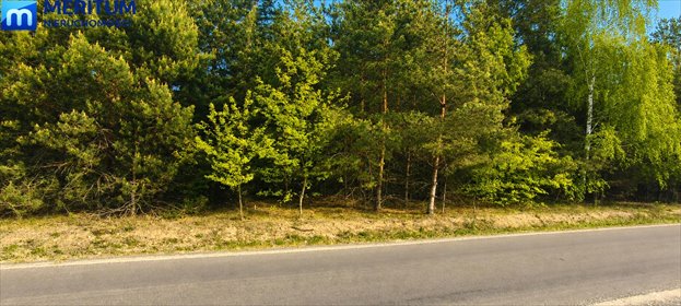 Działka 1500 m2 w spokojnej okolicy z mediami i szybkim dojazdem działka Bartoszówka, Pogodna