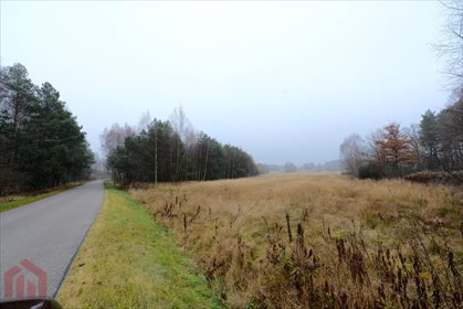 Działka inwestycyjna na sprzedaż Cierpisz 25 000m2 Foto 1