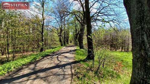 Działka budowlana na sprzedaż Bobrów 3 859m2 Foto 3