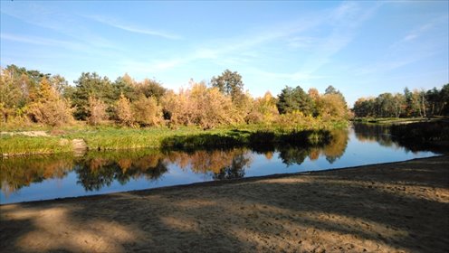 działka na sprzedaż 4828m2 działka Popielżyn-Zawady