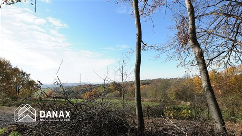 Działka budowlana na sprzedaż Buków 2 086m2 Foto 3