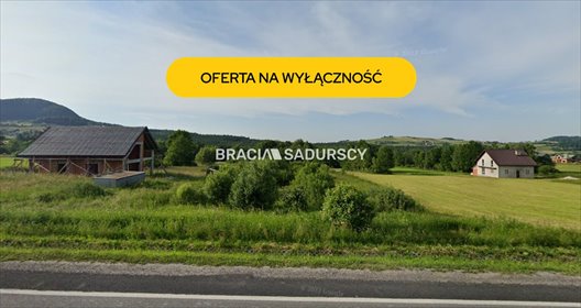 Zapraszam do zakupu działki 65 ar w Ptaszkowej z dostępem do drogi krajowej działka Ptaszkowa