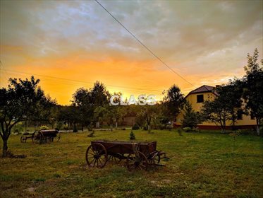Dom na sprzedaż Dragacz, Stare Marzy 300m2 Foto 3