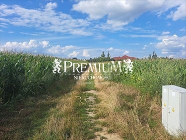 działka na sprzedaż 3030m2 działka Brzezina