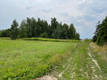 Działka budowlana na sprzedaż Biskupice Oławskie 1 090m2 Foto 4