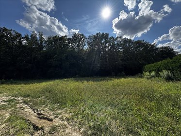 działka na sprzedaż 1750m2 działka Rydzyny, Pogodna