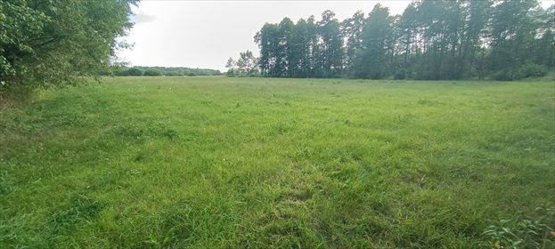 działka na sprzedaż 2000m2 działka Czubajowizna