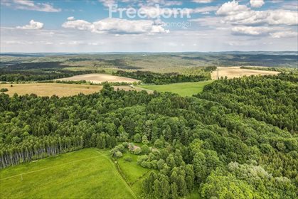 działka na sprzedaż 11700m2 działka Borownica