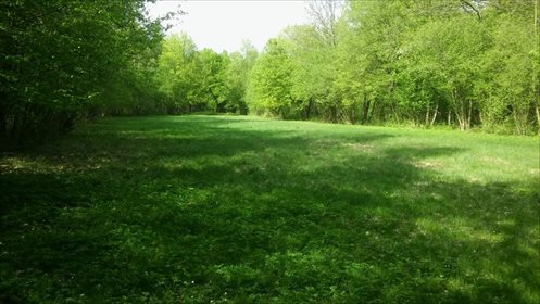 Działka rolna na sprzedaż Czmoń 30 300m2 Foto 1