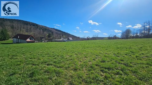 działka na sprzedaż 3660m2 działka Czasław