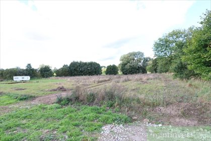 działka na sprzedaż 2923m2 działka Dębice