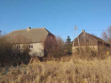 działka na sprzedaż 11500m2 działka Studzionka