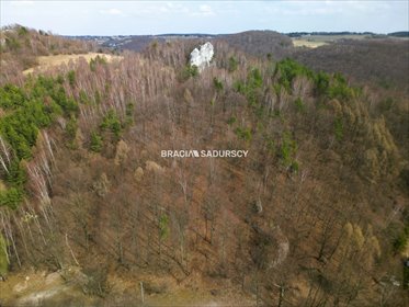 Las w Jerzmanowicach 700 m², media, blisko Ojcowskiego Parku działka Jerzmanowice, Zachodnia