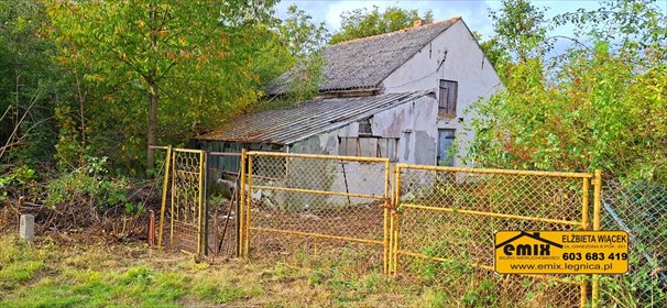 Zapraszam do zakupu działki 4607 m² z budynkiem w Wojciechowie działka Wojciechów