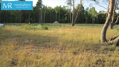 Na sprzedaż atrakcyjna działka 3000 m² w Mielenku działka Mielenko