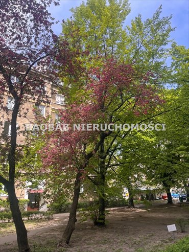 Przestronne 2 pokoje z potencjałem aranżacji na Mokotowie mieszkanie Warszawa, Mokotów, Dolny Mokotów, Podchorążych