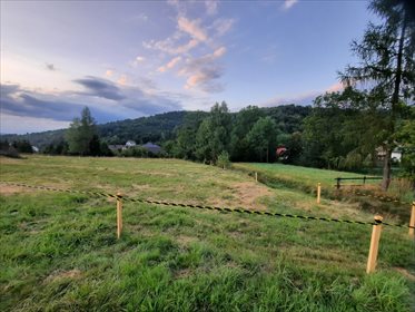 Działka budowlana na sprzedaż Juszczyna 5 372m2 Foto 3
