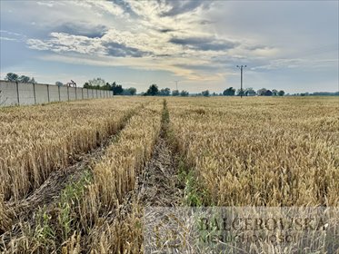 działka na sprzedaż 1500m2 działka Izbiska
