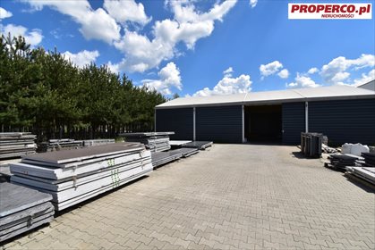 Działka inna pod dzierżawę Jędrzejów 3 381m2 Foto 1