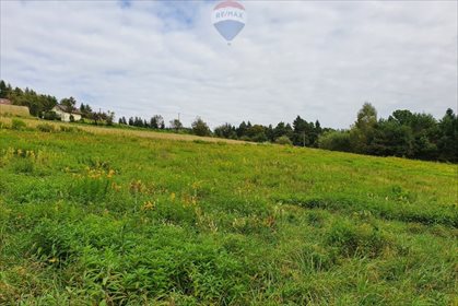 Działka rolna na sprzedaż Bartkowa-Posadowa 15 200m2 Foto 3