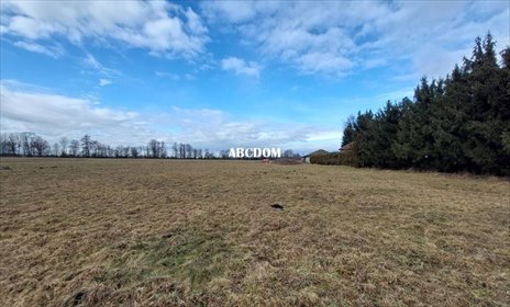 działka na sprzedaż 800m2 działka Cholerzyn, Cholerzyn