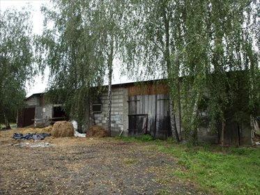 działka na sprzedaż 240000m2 działka Ostrówki