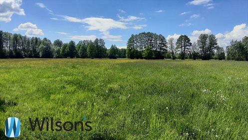 Działka budowlana na sprzedaż Morzyczyn-Włóki 3 000m2 Foto 3