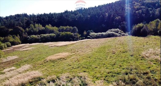 Działka budowlana na sprzedaż Czaszyn 38 200m2 Foto 6