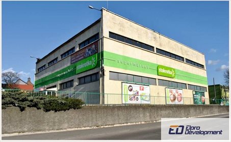 lokal użytkowy na sprzedaż 1079m2 lokal użytkowy Radziejów